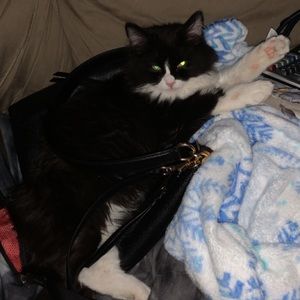 Meet your Posher, Jamie